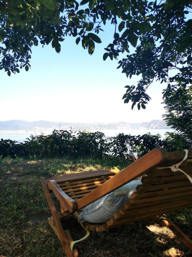 Kuca Za Odmor-Zelena Oaza Hotel Golubac Ngoại thất bức ảnh